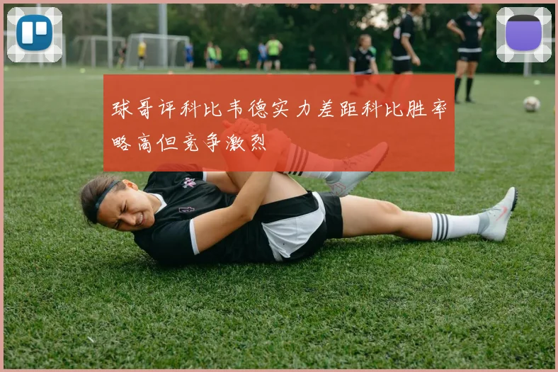 球哥评科比韦德实力差距科比胜率略高但竞争激烈